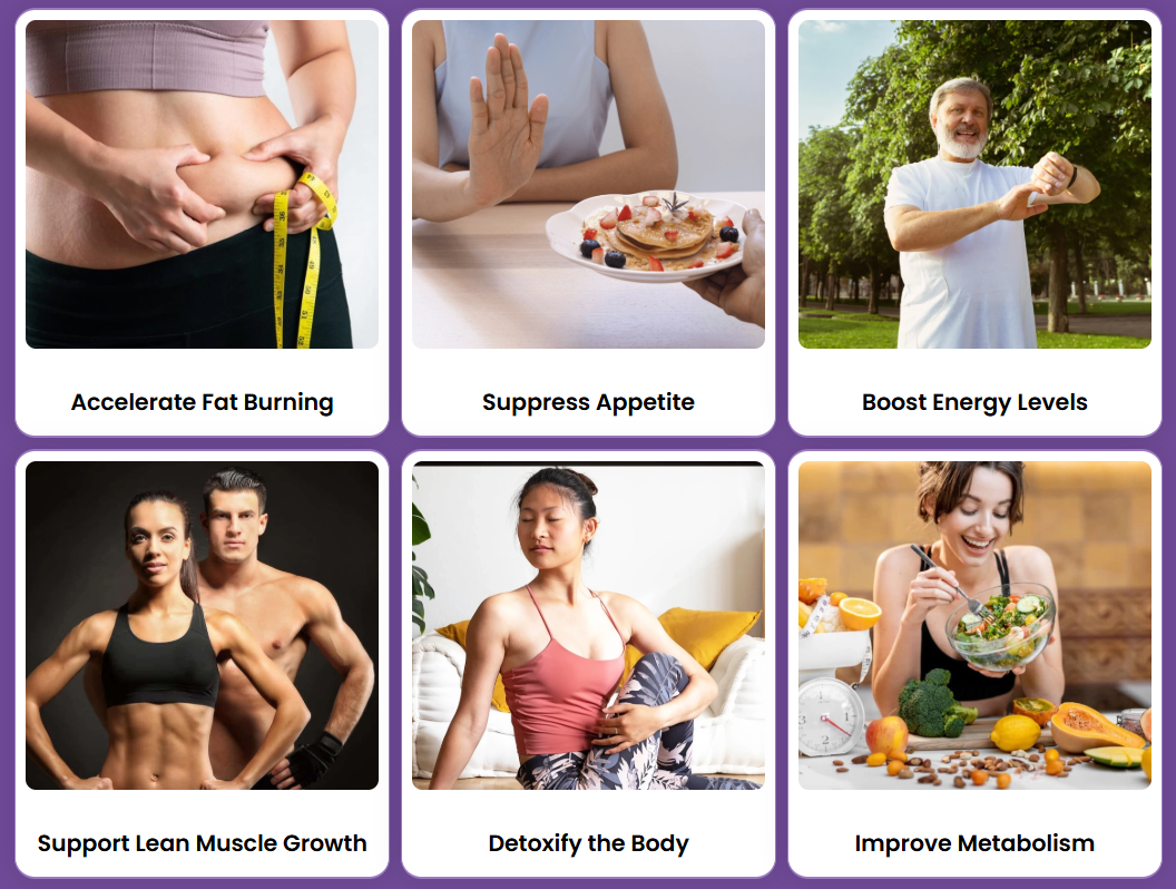 Leantide benefits — fat burn, appetite, energy, muscle, detox, metabolism